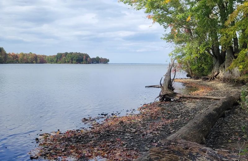 A Lakeside Escape That Slows Everything Down A Lakeside Escape That Slows Everything Down