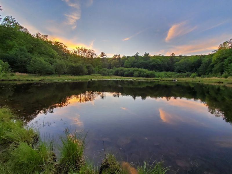 A Little Lake With Big Surprises