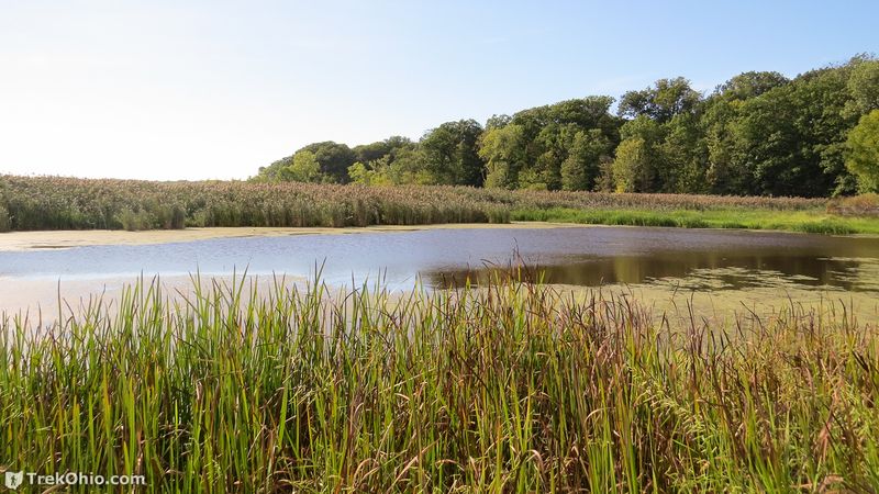 A Marsh That Came Back - Mentor Marsh State Nature Preserve in Mentor, Lake County A Marsh That Came Back - Mentor Marsh State Nature Preserve in Mentor, Lake County