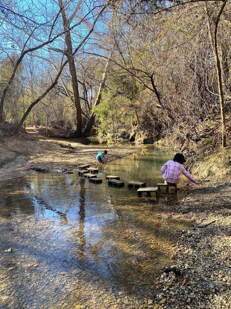 A Nature Center That Wins Over Kids