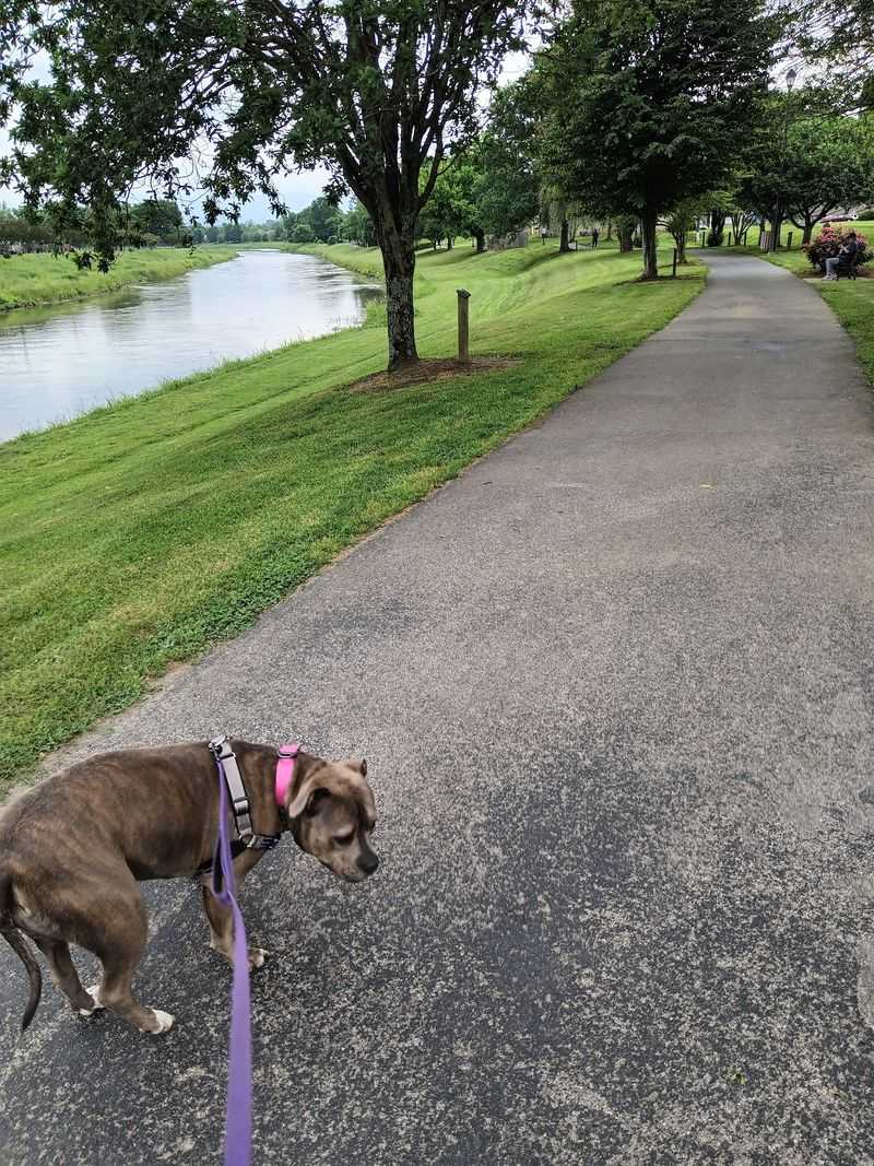 A Paved Path That Works for Everyone