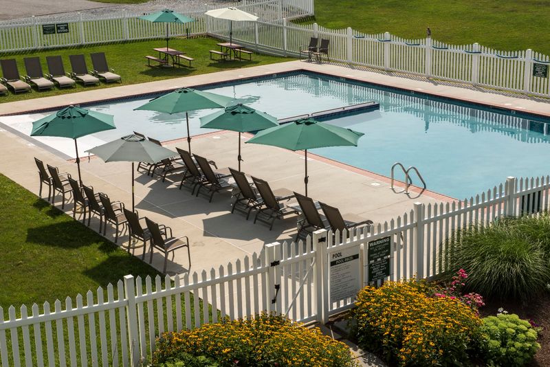 A Pool Worth Packing Your Swimsuit For