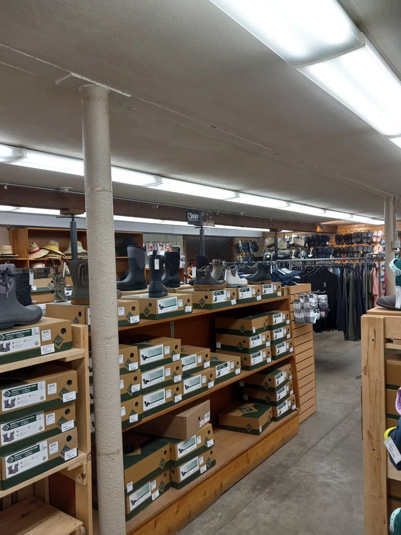 A Shoe and Boot Store Hiding Downstairs Too