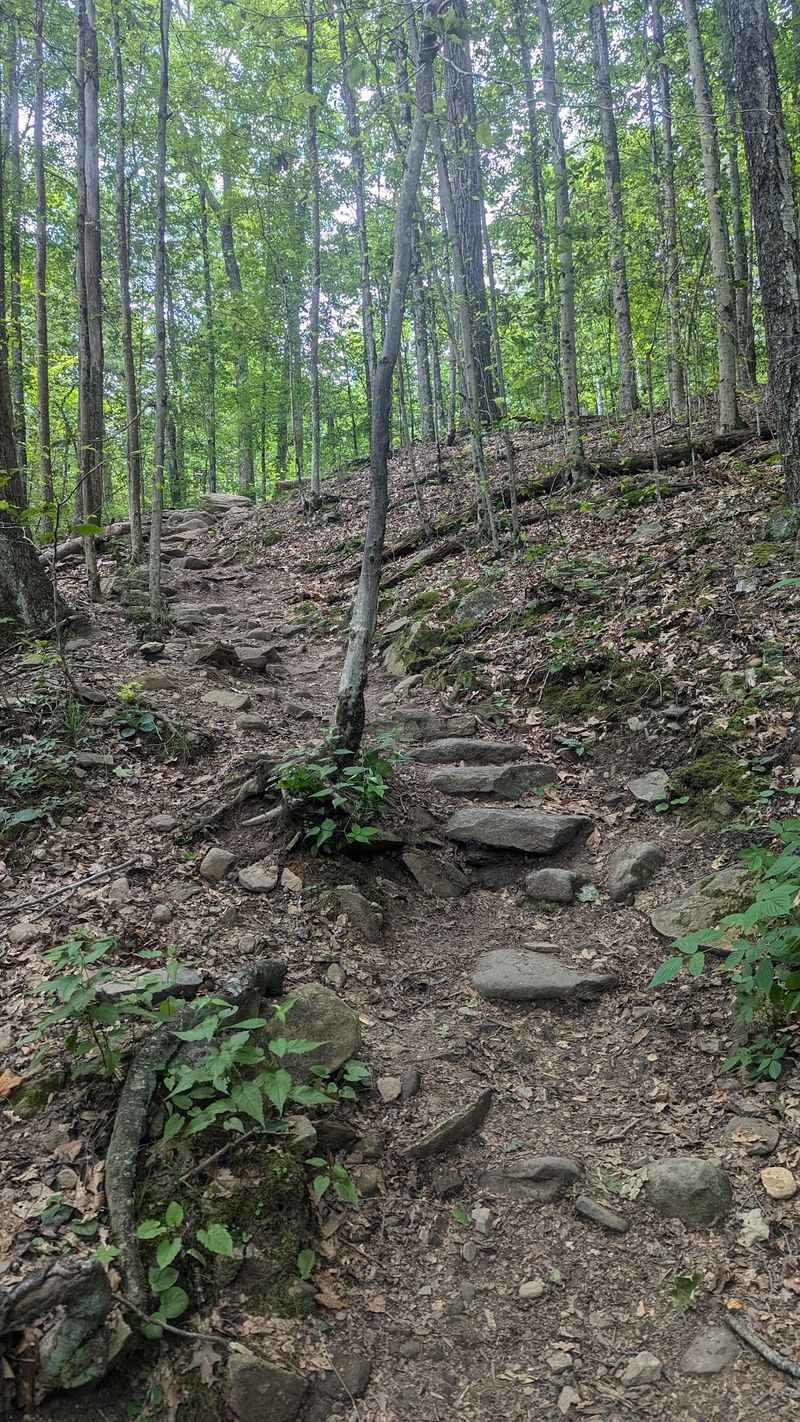 A Short Walk With a Steep Surprise A Short Walk With a Steep Surprise