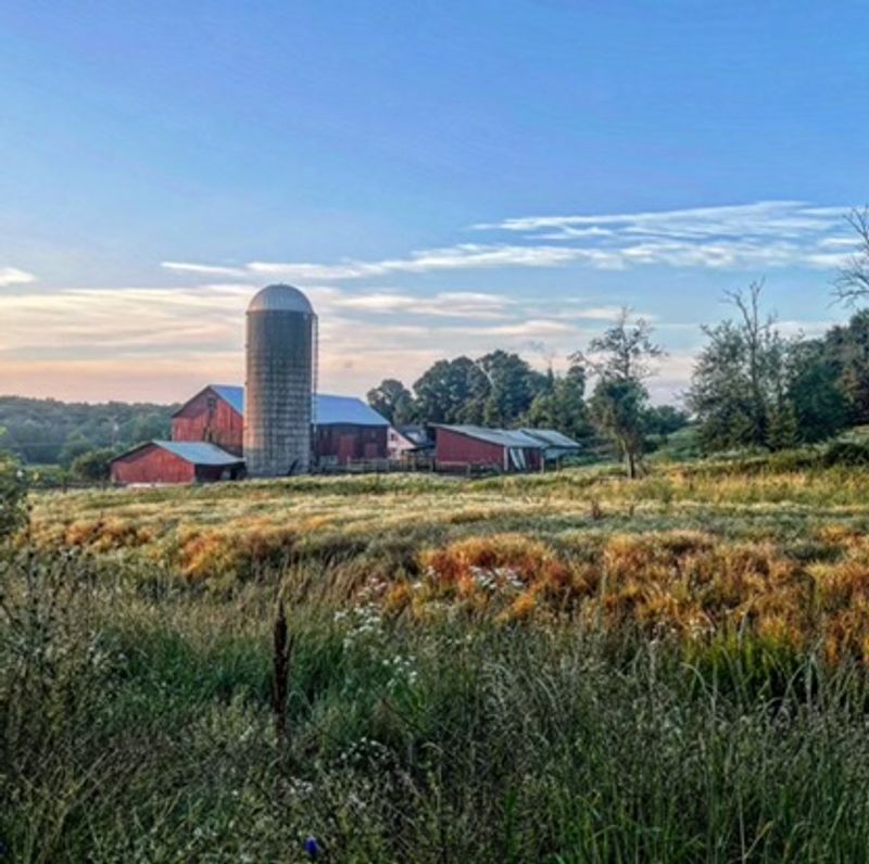 A Small Farm Hidden in the Hills of Wantage