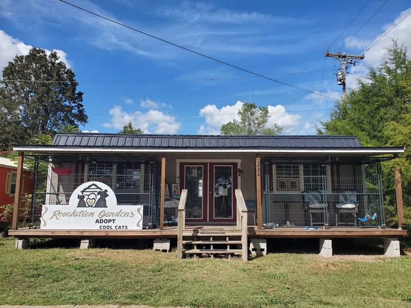 A Tennessee Sanctuary Where Unwanted Animals Are Always Welcome A Tennessee Sanctuary Where Unwanted Animals Are Always Welcome