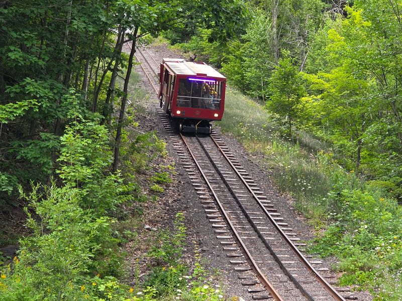 A Tram Ride Changes the View