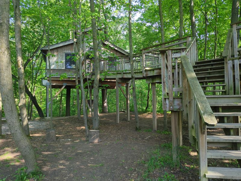 A Treehouse Changes the View A Treehouse Changes the View