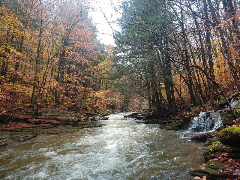 A Trout Stream With Local Roots A Trout Stream With Local Roots