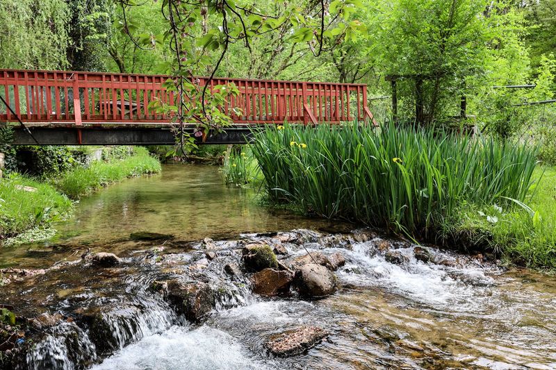 A True Hidden Gem Of The Smoky Mountains