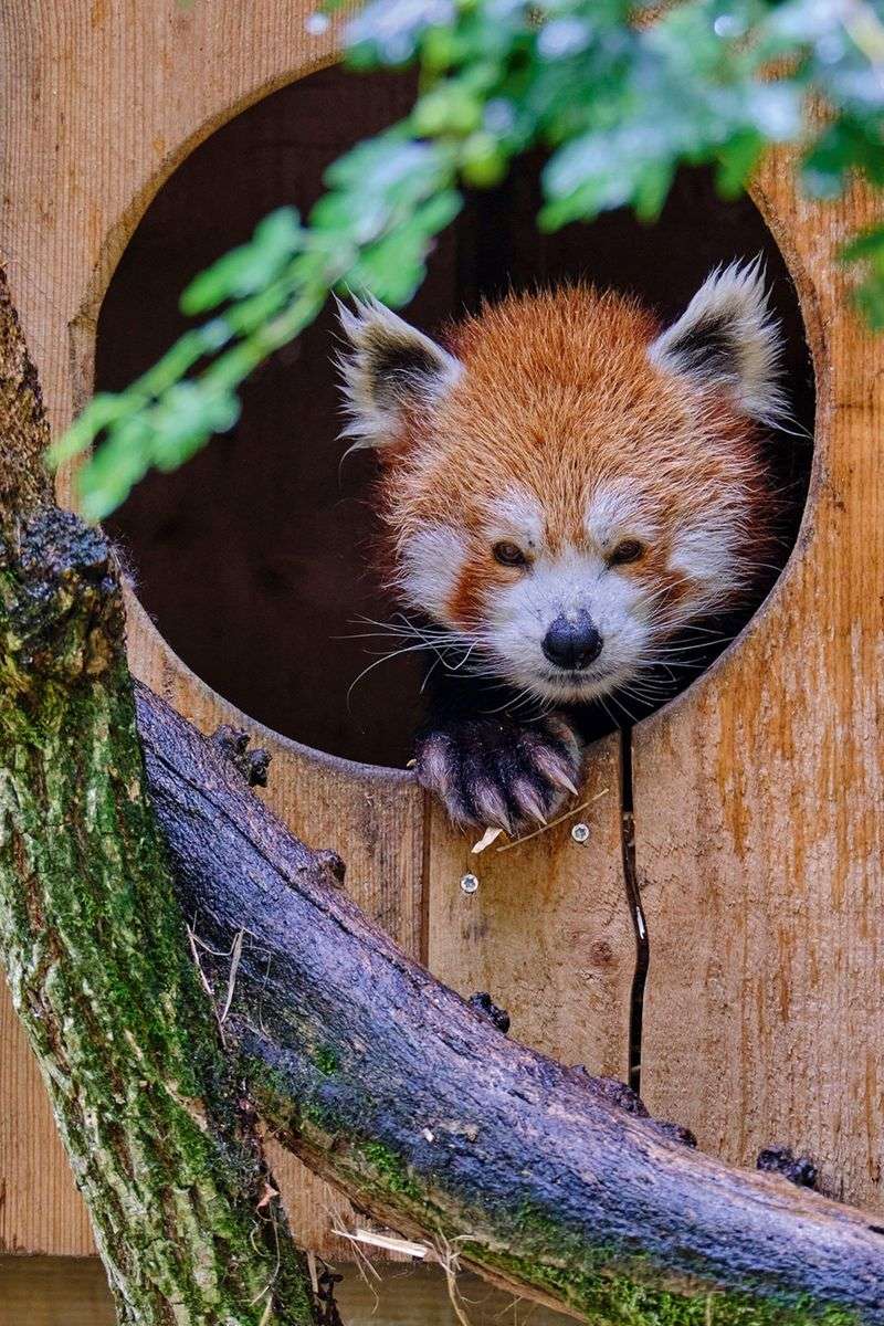 A Wider Animal World at Family Traditions Animal Adventure