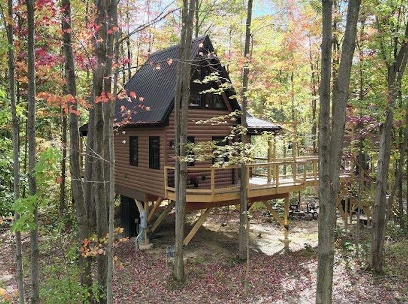 A Wooded Stay That Feels Far Away Without Being Remote