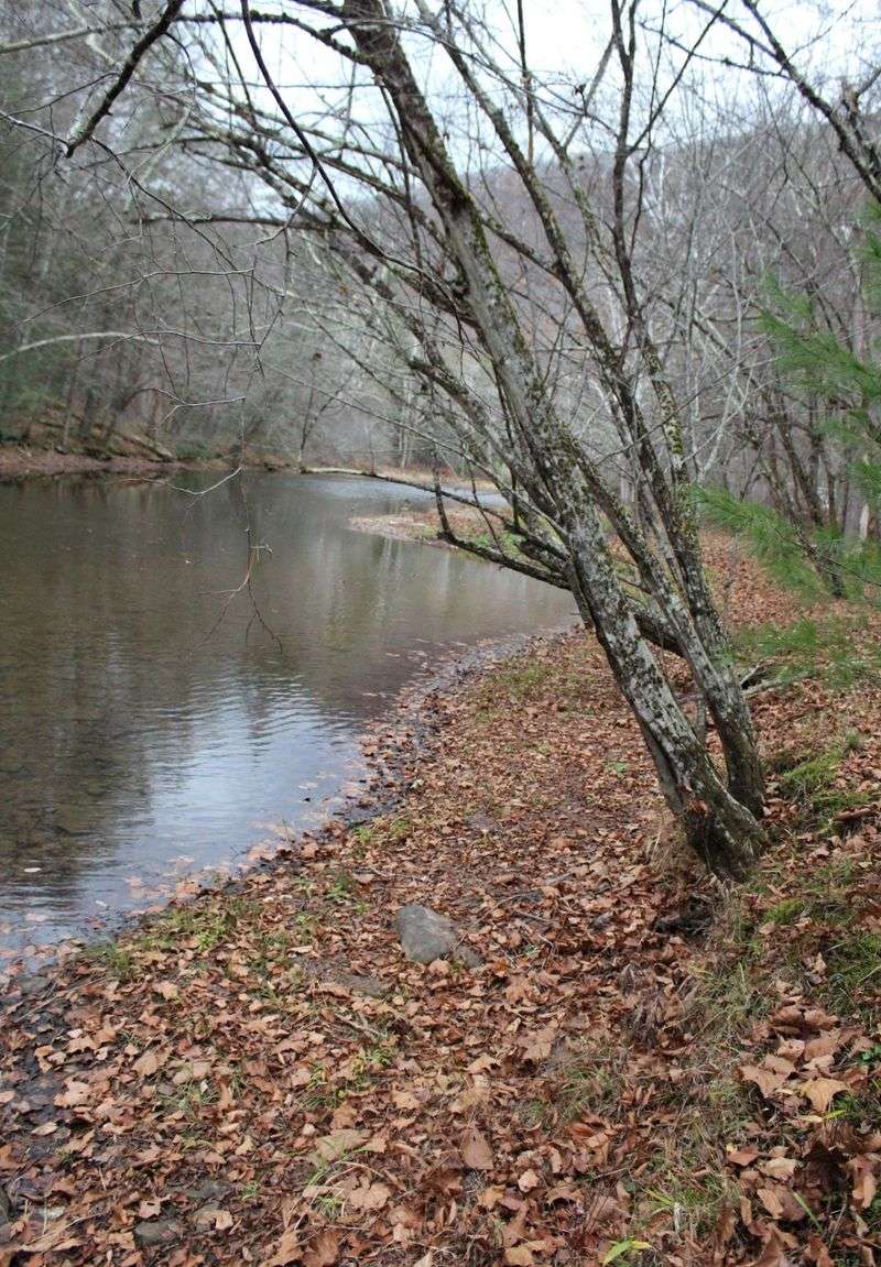 A peaceful walk toward Cross Fork A peaceful walk toward Cross Fork