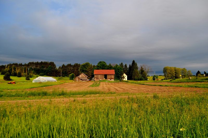A roadside farm with a clear purpose A roadside farm with a clear purpose