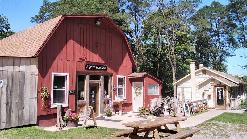 A working Michigan farm, not a staged roadside gimmick