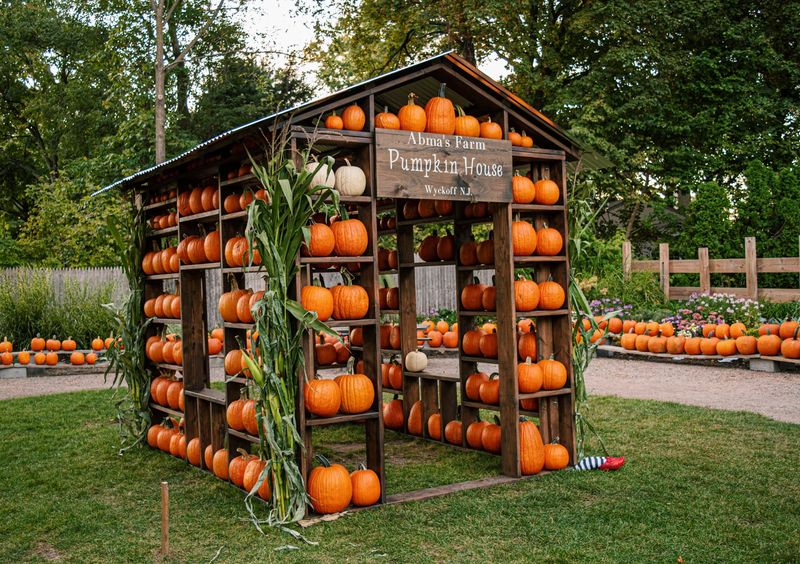 Abma's Farm - Wyckoff