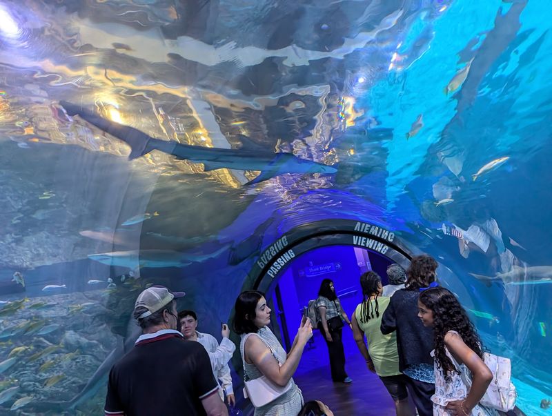 Adventure Aquarium - Camden Adventure Aquarium - Camden