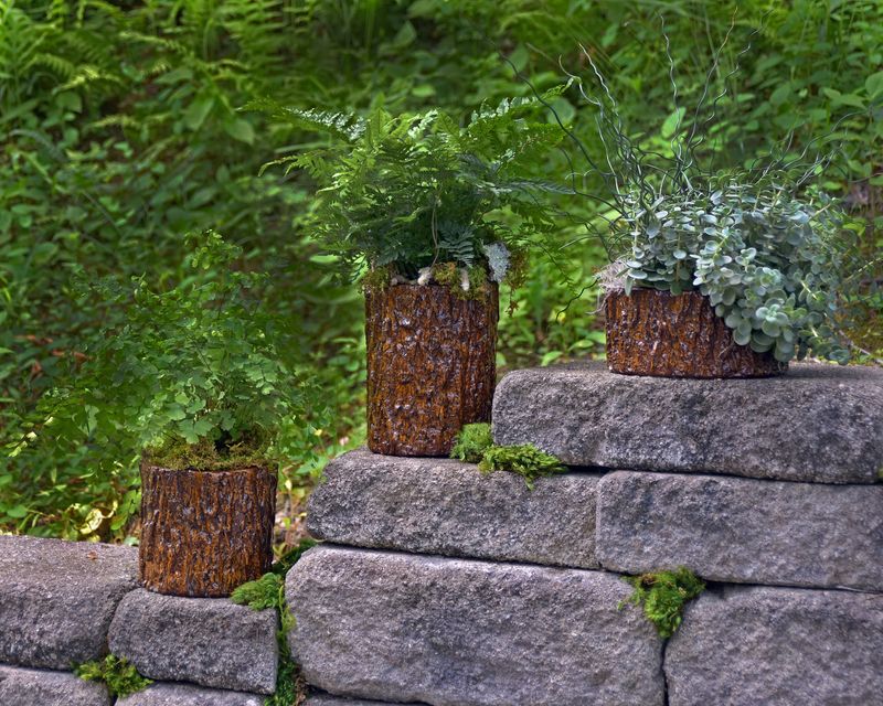 Affordable Pots for Every Garden Style