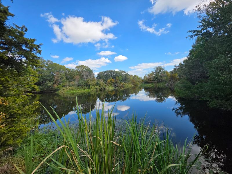 An Urban Nature Sanctuary That Feels Miles Away An Urban Nature Sanctuary That Feels Miles Away