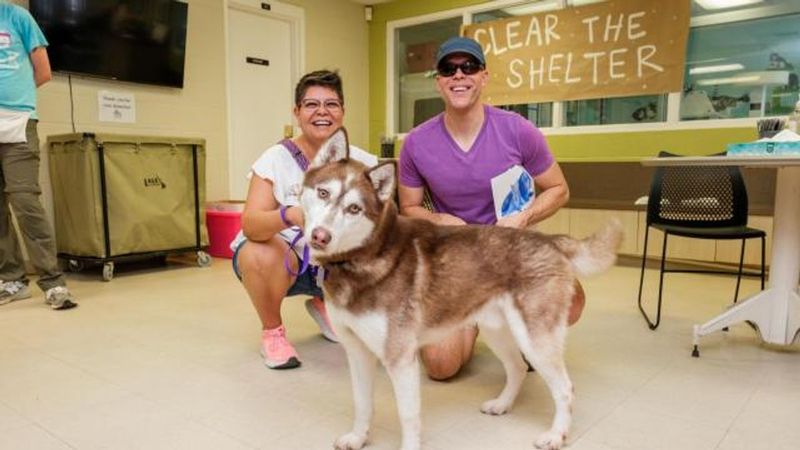 Animal Protection Society Of Durham - Durham Animal Protection Society Of Durham - Durham
