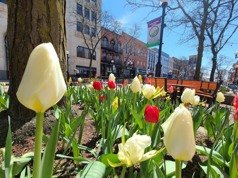 Ann Arbor: Trade Tickets for Trails Ann Arbor: Trade Tickets for Trails