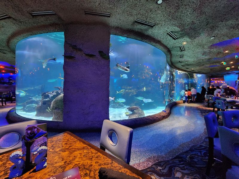 Aquarium Restaurant - Nashville