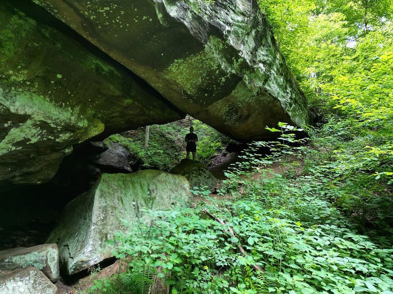 Archers Fork Trail, New Matamoras Archers Fork Trail, New Matamoras