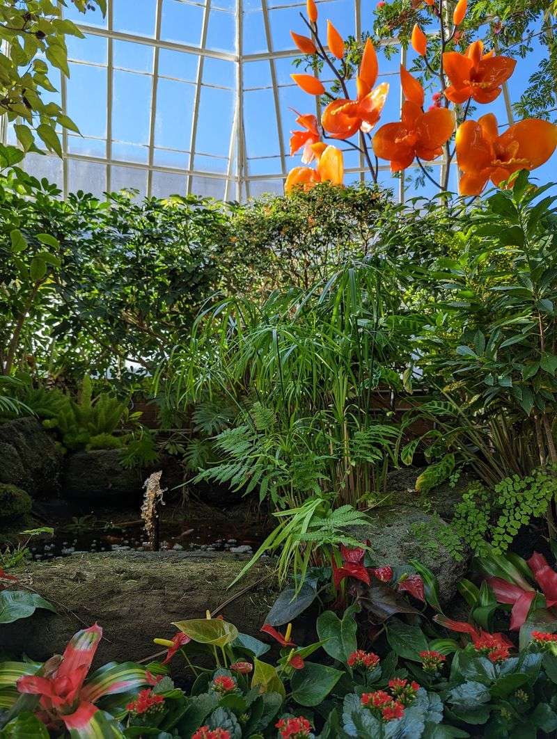 Art And Plants Sharing The Same Spotlight