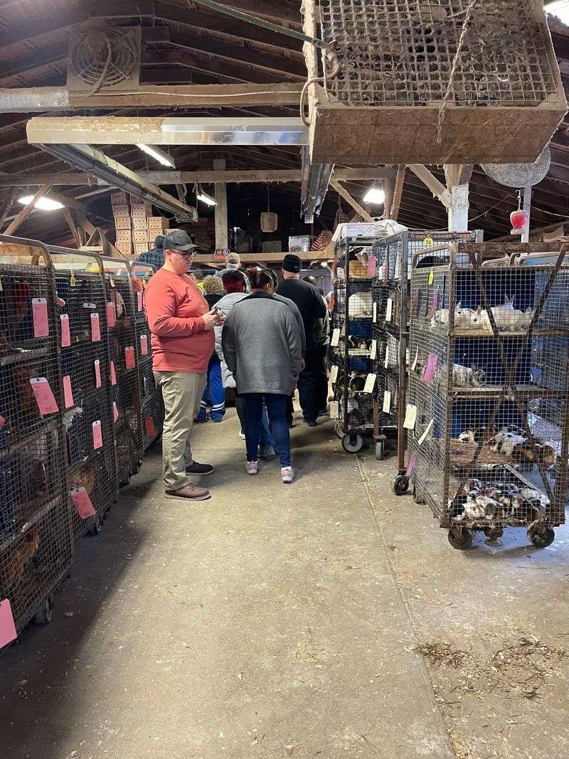 Auctions With Real Country Energy Auctions With Real Country Energy
