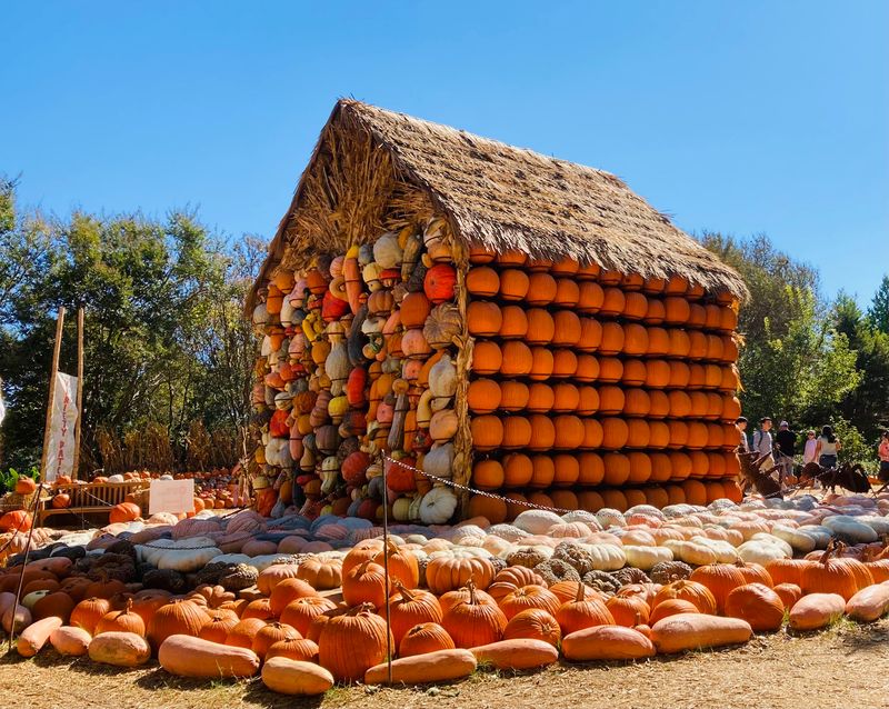 Autumn at the Arboretum (Dallas)