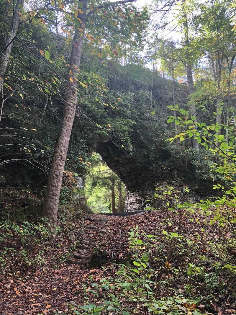 Backbone Rock Campground, Shady Valley