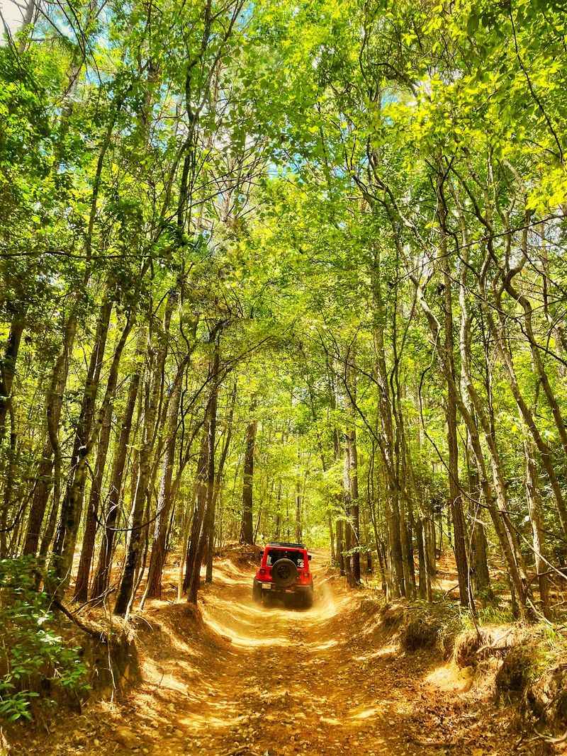Barnwell Mountain Recreational Area (Gilmer) Barnwell Mountain Recreational Area (Gilmer)