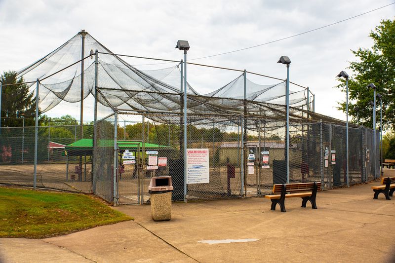 Batting Cages for Quick Family Energy Batting Cages for Quick Family Energy