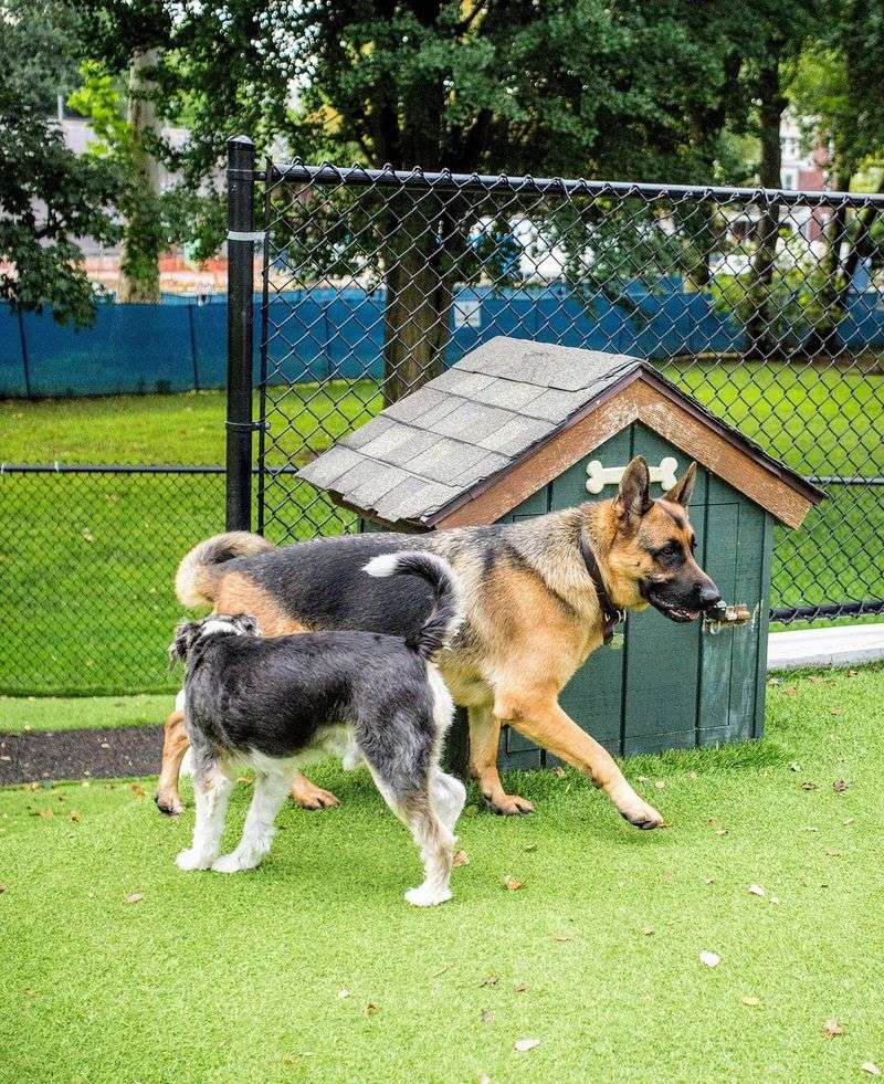 Beau’s Dream Dog Park