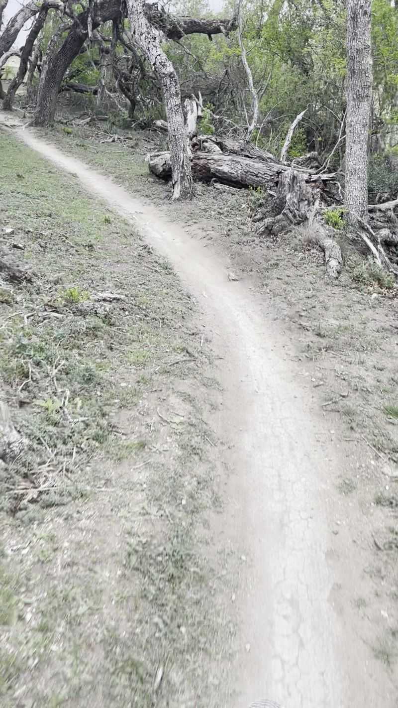 Beginner-Friendly Options Like Terri's Trail Beginner-Friendly Options Like Terri's Trail