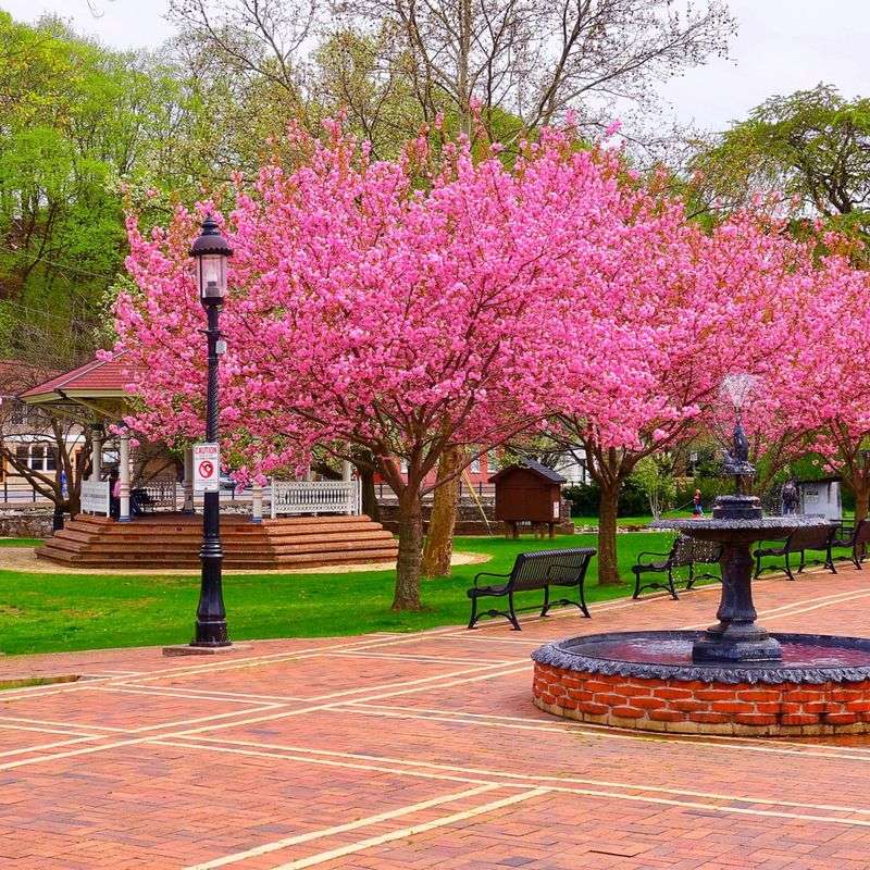 Bellefonte: A Storybook Walk