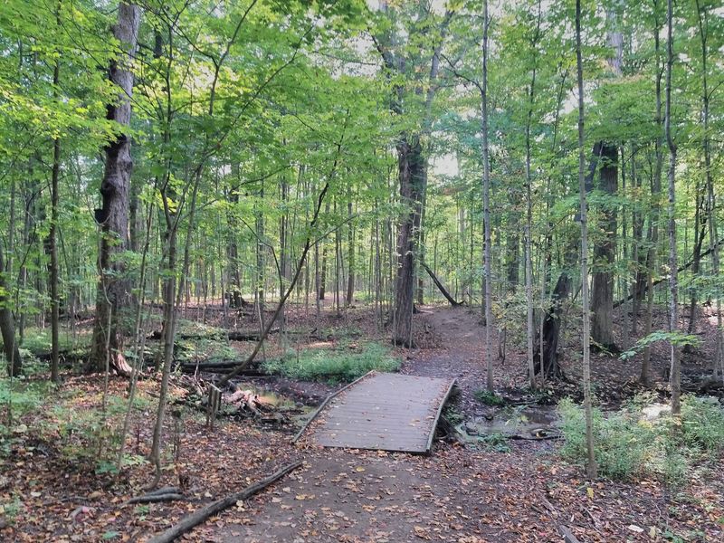 Best Ways to Walk the Michigan Trail Without Missing Its Details Best Ways to Walk the Michigan Trail Without Missing Its Details