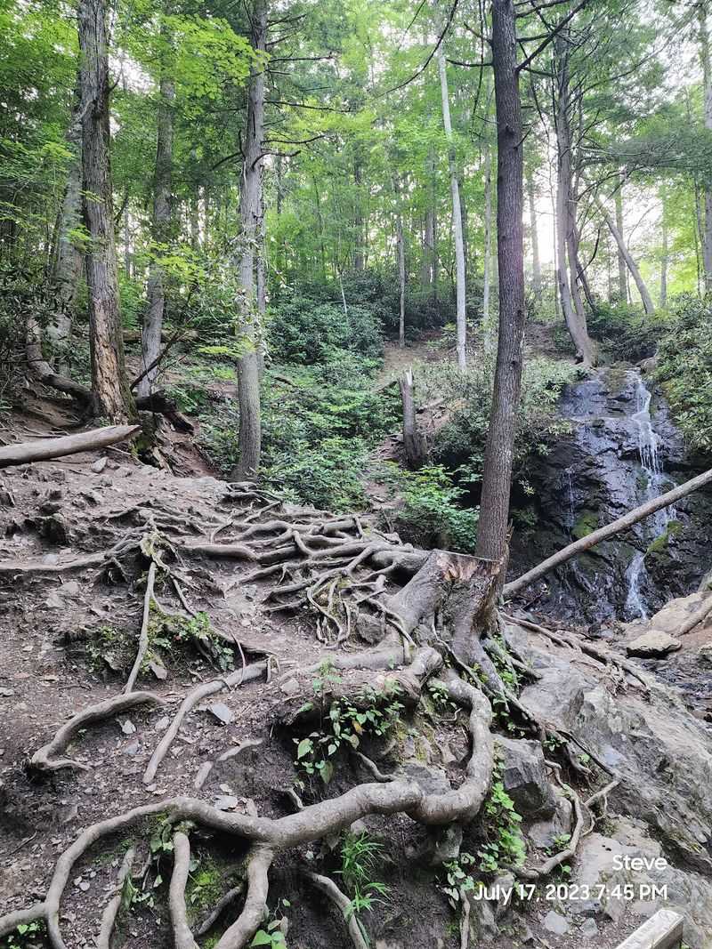 Beyond the Falls: Extending Your Adventure Beyond the Falls: Extending Your Adventure