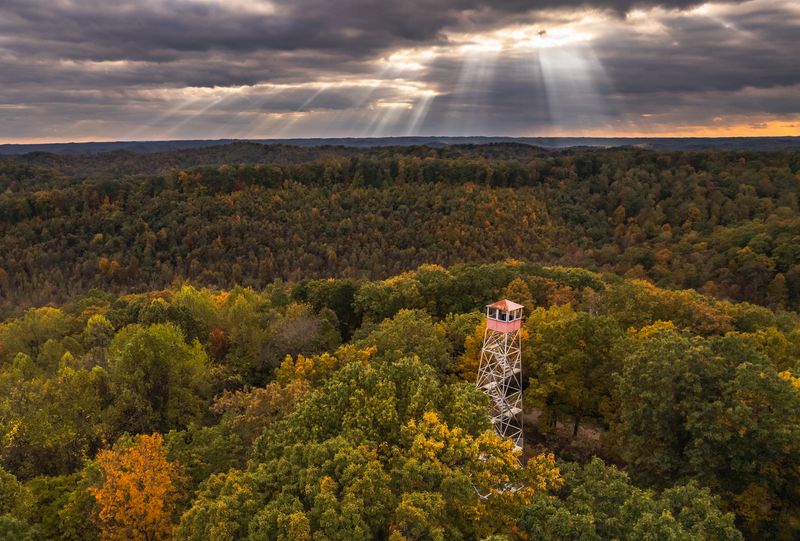Big Woods with a Southern Feel - Shawnee State Forest in Portsmouth, Scioto County Big Woods with a Southern Feel - Shawnee State Forest in Portsmouth, Scioto County