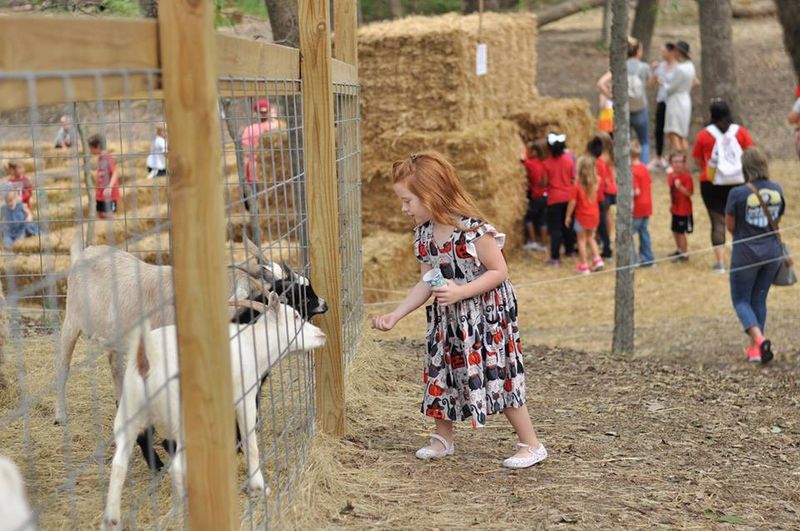 Blase Family Farm (Rockwall)