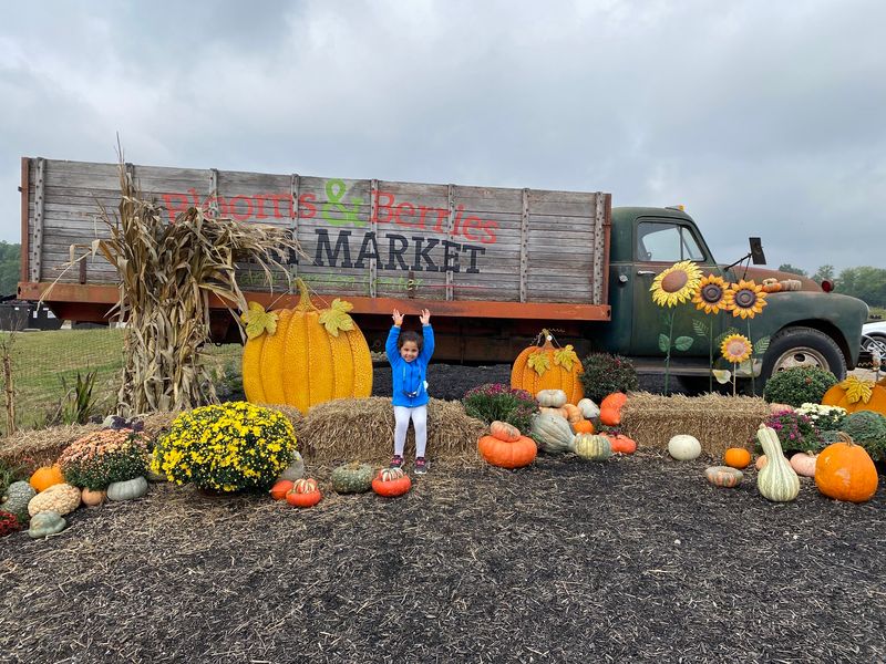 Blooms & Berries Farm Market and Garden Center in Loveland Blooms & Berries Farm Market and Garden Center in Loveland