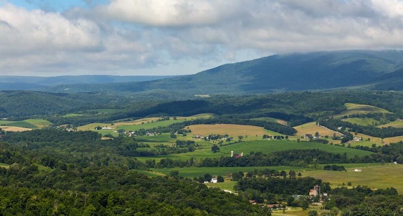 Blue Knob State Park - Pavia