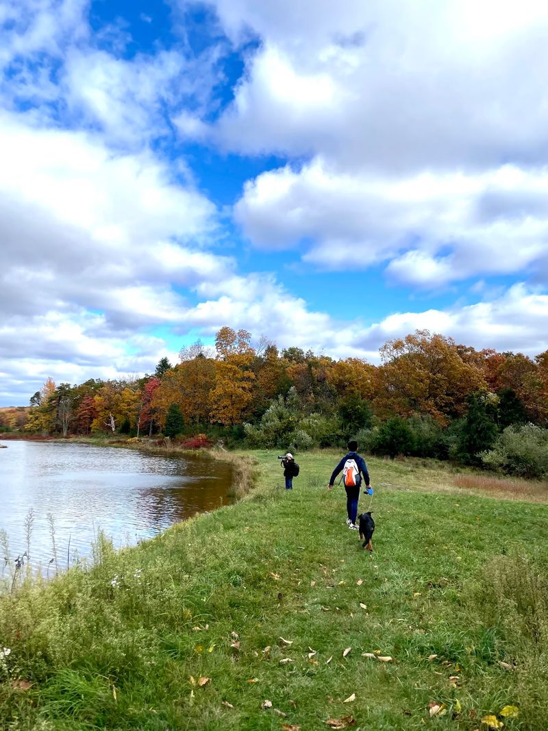 Blue Mountain Lake to Hemlock Pond Loop - Walpack Township