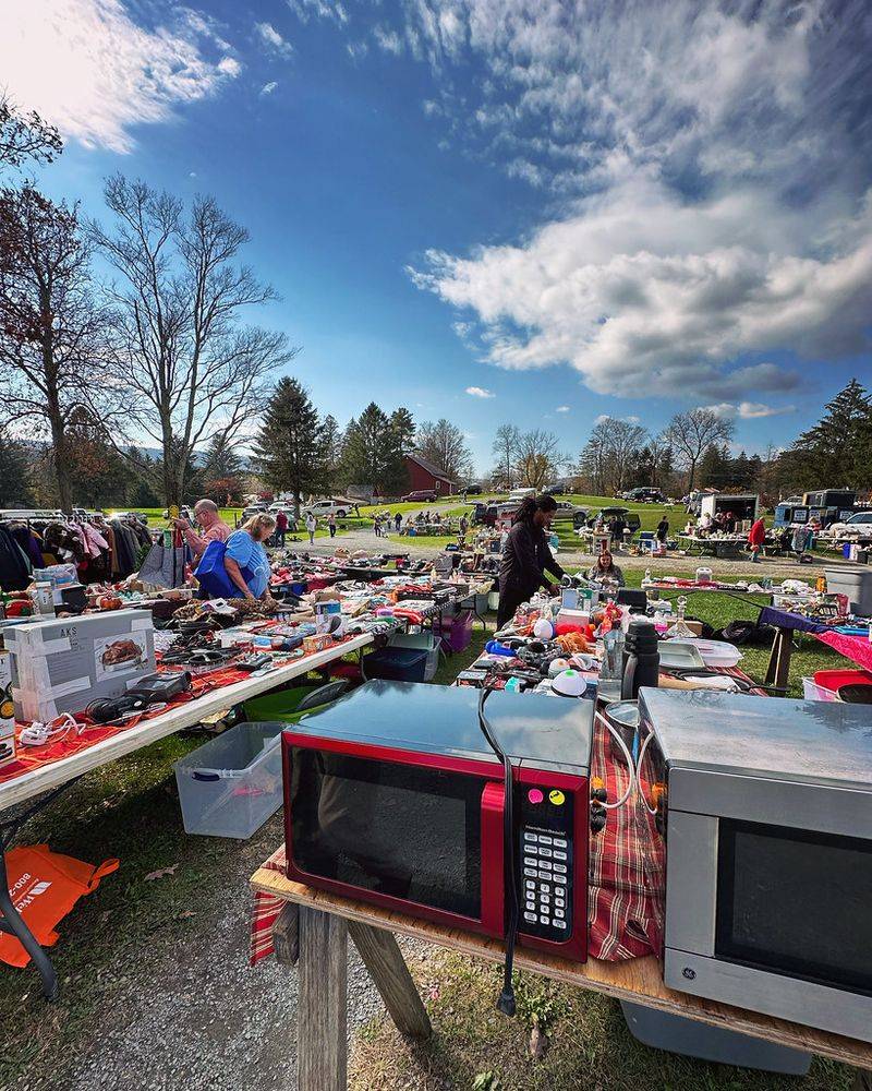 Blue Ridge Flea Market (Saylorsburg)