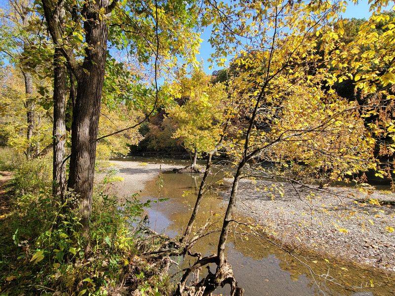Bluff Views and Ravines at Highbanks Metro Park Bluff Views and Ravines at Highbanks Metro Park