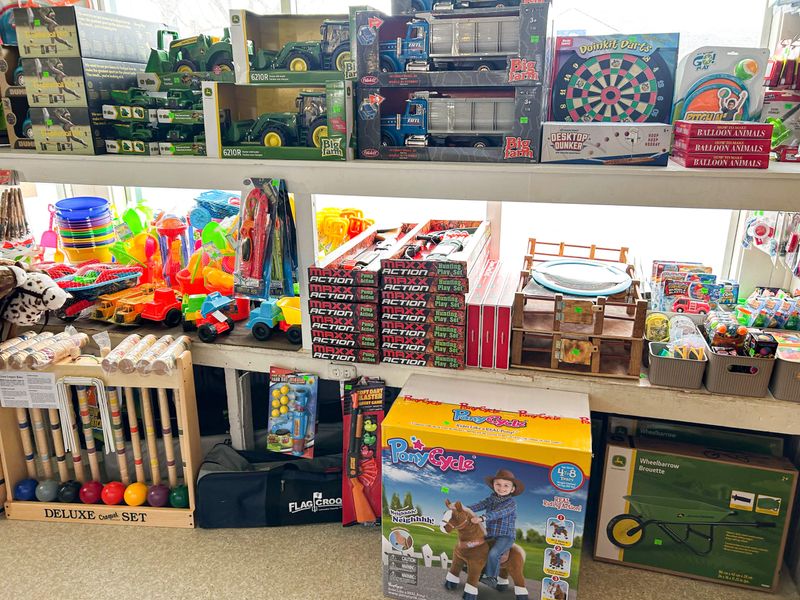 Books, Toys, and Little Surprises