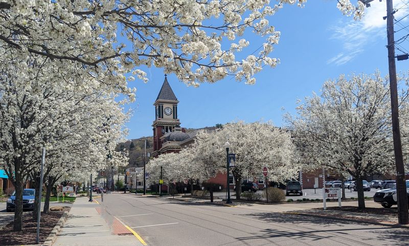Bradford