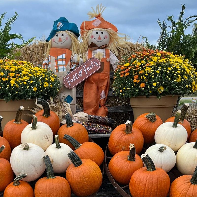 Branstool Orchards, Utica Branstool Orchards, Utica