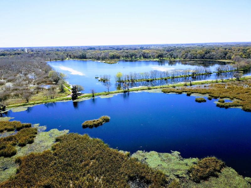 Brazos Bend State Park (Needville) Brazos Bend State Park (Needville)