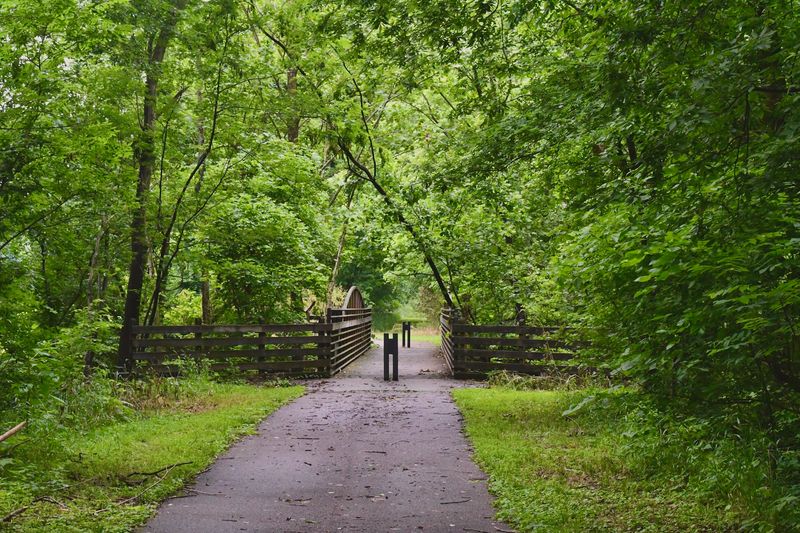 Brian Brown Memorial Greenway, Martin